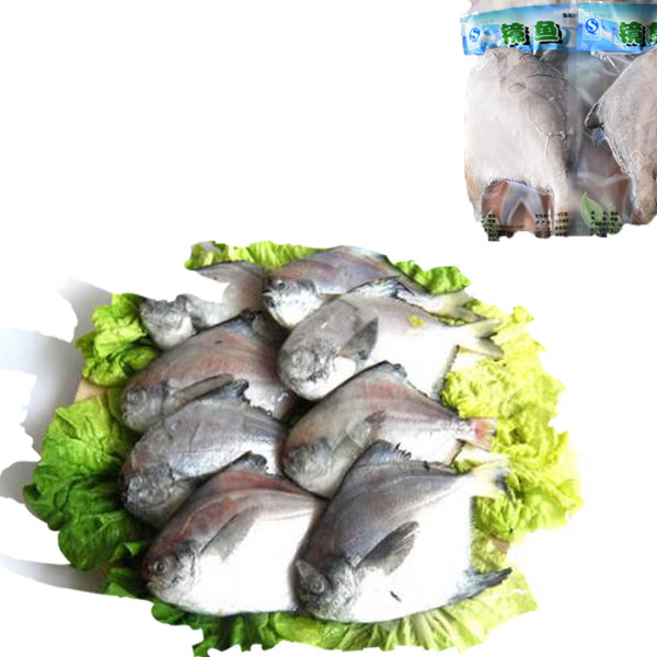 靜魚(yú)